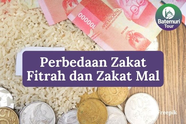 4 Perbedaan Antara Zakat Fitrah dan Zakat Mal agar Harta Anda Bersih